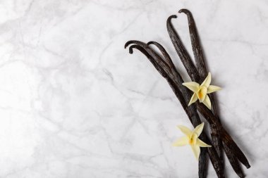 Dokulu bir arka planda vanilya kabukları. Vanilya çiçekleri ve tohumlar. Vanilyalı fasulye. Hamur işleri ve tatlılar için baharatlı baharat. Baharat. Mesaj için yer var. Boşluğu Kopyala