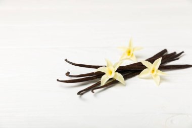 Dokulu bir arka planda vanilya kabukları. Vanilya çiçekleri ve tohumlar. Vanilyalı fasulye. Hamur işleri ve tatlılar için baharatlı baharat. Baharat. Mesaj için yer var. Boşluğu Kopyala