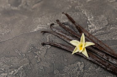 Dokulu bir arka planda vanilya kabukları. Vanilya çiçekleri ve tohumlar. Vanilyalı fasulye. Hamur işleri ve tatlılar için baharatlı baharat. Baharat. Mesaj için yer var. Boşluğu Kopyala