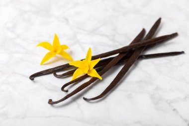 Dokulu bir arka planda vanilya kabukları. Vanilya çiçekleri ve tohumlar. Vanilyalı fasulye. Hamur işleri ve tatlılar için baharatlı baharat. Baharat. Mesaj için yer var. Boşluğu Kopyala