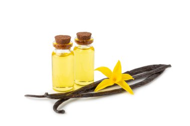 Beyaz arka planda izole edilmiş vanilya çiçekli bir şişe vanilya yağı. aromatik vanilyalı fasulye. Vanilya özü. Spa konsepti. Güzellik ve özen