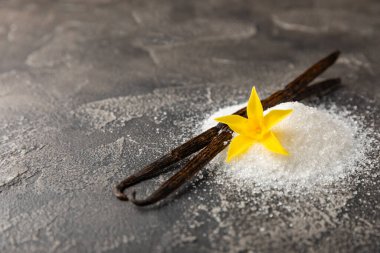 Aromatik vanilya şekeri. Vanilya kabukları. Vanilya çubukları, esmer ve beyaz şeker dokulu arka planda bir kasede. Vanilya çiçekleri, baharatlar ve tatlı ve pişirme için bitkiler. Mesaj için yer var. Boşluğu kopyala