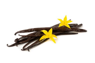 Beyaz arka planda izole edilmiş vanilya kabukları. Vanilya çiçekleri ve tohumlar. Vanilyalı fasulye. Hamur işleri ve tatlılar için baharatlı baharat. Baharat. Mesaj için yer var. Boşluğu Kopyala