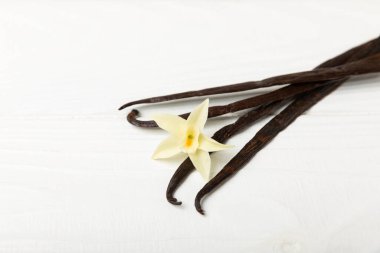 Dokulu bir arka planda vanilya kabukları. Vanilya çiçekleri ve tohumlar. Vanilyalı fasulye. Hamur işleri ve tatlılar için baharatlı baharat. Baharat. Mesaj için yer var. Boşluğu Kopyala