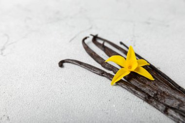 Dokulu bir arka planda vanilya kabukları. Vanilya çiçekleri ve tohumlar. Vanilyalı fasulye. Hamur işleri ve tatlılar için baharatlı baharat. Baharat. Mesaj için yer var. Boşluğu Kopyala