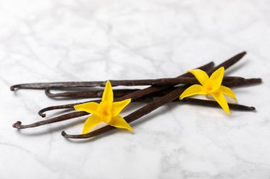 Dokulu bir arka planda vanilya kabukları. Vanilya çiçekleri ve tohumlar. Vanilyalı fasulye. Hamur işleri ve tatlılar için baharatlı baharat. Baharat. Mesaj için yer var. Boşluğu Kopyala