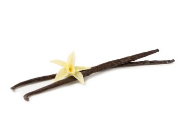 Beyaz arka planda izole edilmiş vanilya kabukları. Vanilya çiçekleri ve tohumlar. Vanilyalı fasulye. Hamur işleri ve tatlılar için baharatlı baharat. Baharat. Mesaj için yer var. Boşluğu Kopyala