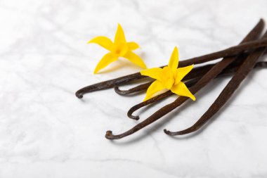 Dokulu bir arka planda vanilya kabukları. Vanilya çiçekleri ve tohumlar. Vanilyalı fasulye. Hamur işleri ve tatlılar için baharatlı baharat. Baharat. Mesaj için yer var. Boşluğu Kopyala