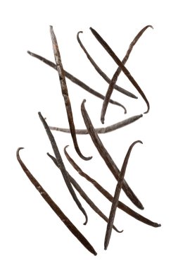 Beyaz arka planda izole edilmiş vanilya kabukları. Vanilya çiçekleri ve tohumlar. Vanilyalı fasulye. Hamur işleri ve tatlılar için baharatlı baharat. Baharat. Mesaj için yer var. Boşluğu Kopyala