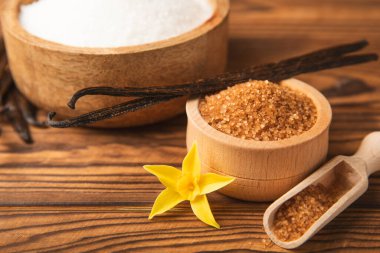 Aromatik vanilya şekeri. Vanilya kabukları. Vanilya çubukları, esmer ve beyaz şeker dokulu arka planda bir kasede. Vanilya çiçekleri, baharatlar ve tatlı ve pişirme için bitkiler. Mesaj için yer var. Boşluğu kopyala