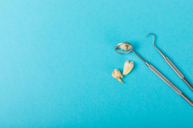 Mavi arkaplandaki dişçi aletleri. Diş hekimi konsepti. Diş bakımı, diş sağlığı konsepti. Ağız boşluğuna dikkat etmek anlamına geliyor. Diş modeli ve dişçi aletleri. Diş hijyeni. Mesaj için yer var. Boşluğu kopyala.