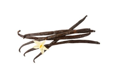 Beyaz arka planda izole edilmiş vanilya kabukları. Vanilya çiçekleri ve tohumlar. Vanilyalı fasulye. Hamur işleri ve tatlılar için baharatlı baharat. Baharat. Mesaj için yer var. Boşluğu Kopyala