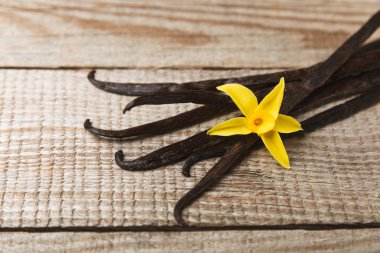 Dokulu bir arka planda vanilya kabukları. Vanilya çiçekleri ve tohumlar. Vanilyalı fasulye. Hamur işleri ve tatlılar için baharatlı baharat. Baharat. Mesaj için yer var. Boşluğu Kopyala
