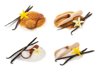 Aromatik vanilya şekeri. Vanilya kabukları. Vanilya çubukları, beyaz arka planda izole edilmiş kahverengi ve beyaz şeker. Vanilya çiçekleri, baharatlar ve tatlı ve pişirme için bitkiler. Mesaj için yer var. Boşluğu kopyala