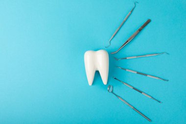 Mavi arkaplandaki dişçi aletleri. Diş hekimi konsepti. Diş bakımı, diş sağlığı konsepti. Ağız boşluğuna dikkat etmek anlamına geliyor. Diş modeli ve dişçi aletleri. Diş hijyeni. Mesaj için yer var. Boşluğu kopyala.
