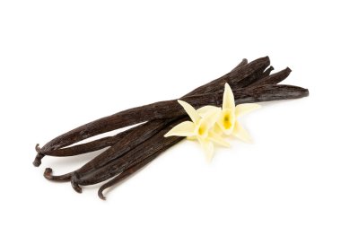 Beyaz arka planda izole edilmiş vanilya kabukları. Vanilya çiçekleri ve tohumlar. Vanilyalı fasulye. Hamur işleri ve tatlılar için baharatlı baharat. Baharat. Mesaj için yer var. Boşluğu Kopyala