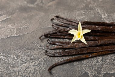 Dokulu bir arka planda vanilya kabukları. Vanilya çiçekleri ve tohumlar. Vanilyalı fasulye. Hamur işleri ve tatlılar için baharatlı baharat. Baharat. Mesaj için yer var. Boşluğu Kopyala