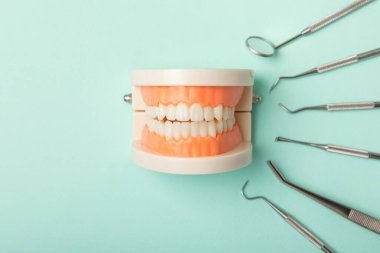 Mavi arkaplandaki dişçi aletleri. Diş hekimi konsepti. Diş bakımı, diş sağlığı konsepti. Ağız boşluğuna dikkat etmek anlamına geliyor. Diş modeli ve dişçi aletleri. Diş hijyeni. Mesaj için yer var. Boşluğu kopyala.