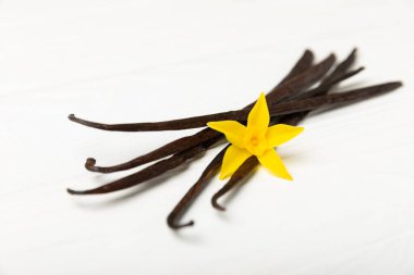 Dokulu bir arka planda vanilya kabukları. Vanilya çiçekleri ve tohumlar. Vanilyalı fasulye. Hamur işleri ve tatlılar için baharatlı baharat. Baharat. Mesaj için yer var. Boşluğu Kopyala