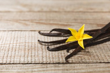 Dokulu bir arka planda vanilya kabukları. Vanilya çiçekleri ve tohumlar. Vanilyalı fasulye. Hamur işleri ve tatlılar için baharatlı baharat. Baharat. Mesaj için yer var. Boşluğu Kopyala
