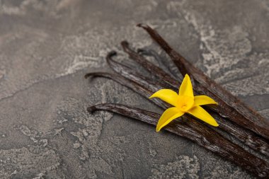 Dokulu bir arka planda vanilya kabukları. Vanilya çiçekleri ve tohumlar. Vanilyalı fasulye. Hamur işleri ve tatlılar için baharatlı baharat. Baharat. Mesaj için yer var. Boşluğu Kopyala