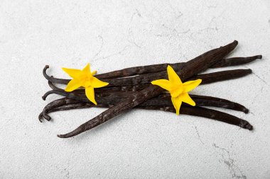 Dokulu bir arka planda vanilya kabukları. Vanilya çiçekleri ve tohumlar. Vanilyalı fasulye. Hamur işleri ve tatlılar için baharatlı baharat. Baharat. Mesaj için yer var. Boşluğu Kopyala