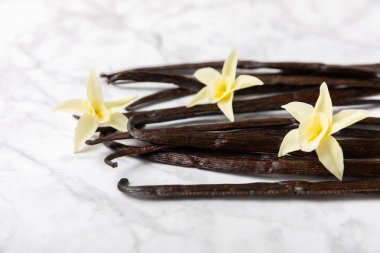 Dokulu bir arka planda vanilya kabukları. Vanilya çiçekleri ve tohumlar. Vanilyalı fasulye. Hamur işleri ve tatlılar için baharatlı baharat. Baharat. Mesaj için yer var. Boşluğu Kopyala