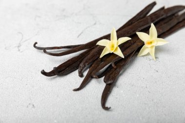 Dokulu bir arka planda vanilya kabukları. Vanilya çiçekleri ve tohumlar. Vanilyalı fasulye. Hamur işleri ve tatlılar için baharatlı baharat. Baharat. Mesaj için yer var. Boşluğu Kopyala