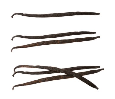 Beyaz arka planda izole edilmiş vanilya kabukları. Vanilya çiçekleri ve tohumlar. Vanilyalı fasulye. Hamur işleri ve tatlılar için baharatlı baharat. Baharat. Mesaj için yer var. Boşluğu Kopyala