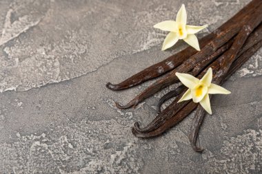 Dokulu bir arka planda vanilya kabukları. Vanilya çiçekleri ve tohumlar. Vanilyalı fasulye. Hamur işleri ve tatlılar için baharatlı baharat. Baharat. Mesaj için yer var. Boşluğu Kopyala