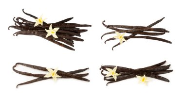 Beyaz arka planda izole edilmiş vanilya kabukları. Vanilya çiçekleri ve tohumlar. Vanilyalı fasulye. Hamur işleri ve tatlılar için baharatlı baharat. Baharat. Mesaj için yer var. Boşluğu Kopyala