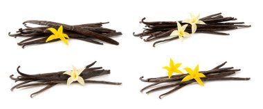 Beyaz arka planda izole edilmiş vanilya kabukları. Vanilya çiçekleri ve tohumlar. Vanilyalı fasulye. Hamur işleri ve tatlılar için baharatlı baharat. Baharat. Mesaj için yer var. Boşluğu Kopyala