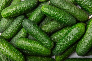 Ahşap arka planda salatalık. Arka planda bir parça salatalık. Taze organik yeşil salatalık turşusu. Vejetaryen. Salata malzemesi. Çiftlik sebzeleri. Sebzeleri bıçakla kes. Mesaj için yer var. Boşluğu kopyala