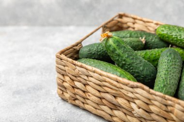 Ahşap arka planda salatalık. Arka planda bir parça salatalık. Taze organik yeşil salatalık turşusu. Vejetaryen. Salata malzemesi. Çiftlik sebzeleri. Sebzeleri bıçakla kes. Mesaj için yer var. Boşluğu kopyala