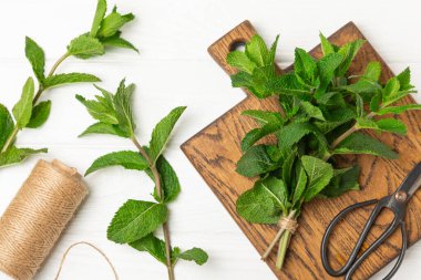 Naneli. Ahşap arka planda taze organik nane yaprakları. Nane yaprakları. Nane şekeri. Yakın plan. Mesaj için yer var. Boşluğu kopyala.