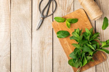 Naneli. Ahşap arka planda taze organik nane yaprakları. Nane yaprakları. Nane şekeri. Yakın plan. Mesaj için yer var. Boşluğu kopyala.