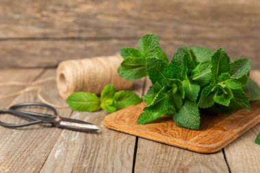 Naneli. Ahşap arka planda taze organik nane yaprakları. Nane yaprakları. Nane şekeri. Yakın plan. Mesaj için yer var. Boşluğu kopyala.