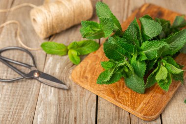 Naneli. Ahşap arka planda taze organik nane yaprakları. Nane yaprakları. Nane şekeri. Yakın plan. Mesaj için yer var. Boşluğu kopyala.