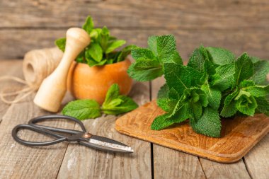 Naneli. Ahşap arka planda taze organik nane yaprakları. Nane yaprakları. Nane şekeri. Yakın plan. Mesaj için yer var. Boşluğu kopyala.