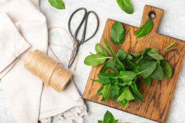 Naneli. Ahşap arka planda taze organik nane yaprakları. Nane yaprakları. Nane şekeri. Yakın plan. Mesaj için yer var. Boşluğu kopyala.