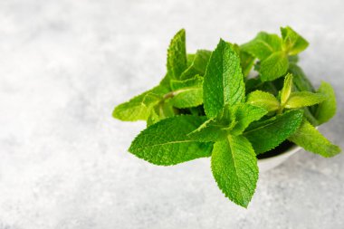 Naneli. Ahşap arka planda taze organik nane yaprakları. Nane yaprakları. Nane şekeri. Yakın plan. Mesaj için yer var. Boşluğu kopyala.