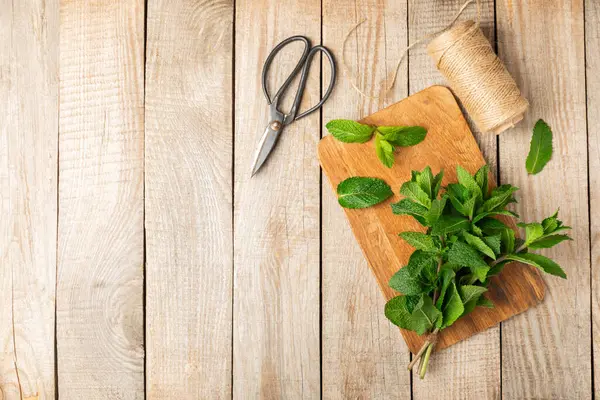 Naneli. Ahşap arka planda taze organik nane yaprakları. Nane yaprakları. Nane şekeri. Yakın plan. Mesaj için yer var. Boşluğu kopyala.