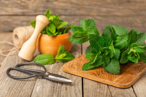 Naneli. Ahşap arka planda taze organik nane yaprakları. Nane yaprakları. Nane şekeri. Yakın plan. Mesaj için yer var. Boşluğu kopyala.