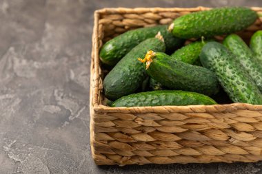 Ahşap arka planda salatalık. Arka planda bir parça salatalık. Taze organik yeşil salatalık turşusu. Vejetaryen. Salata malzemesi. Çiftlik sebzeleri. Sebzeleri bıçakla kes. Mesaj için yer var. Boşluğu kopyala