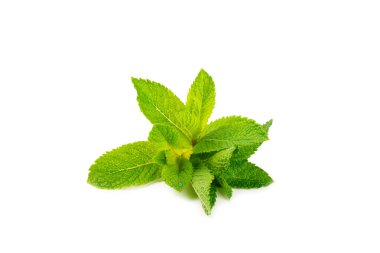Naneli. Beyaz arka planda izole edilmiş taze organik nane yaprakları. Nane yaprakları. Nane şekeri. Yakın plan..