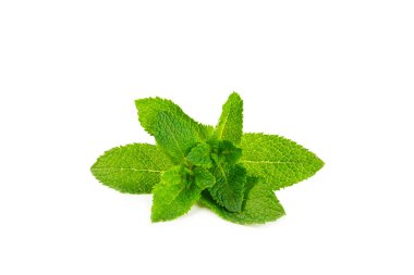 Naneli. Beyaz arka planda izole edilmiş taze organik nane yaprakları. Nane yaprakları. Nane şekeri. Yakın plan..