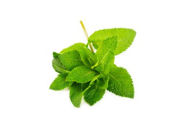 Naneli. Beyaz arka planda izole edilmiş taze organik nane yaprakları. Nane yaprakları. Nane şekeri. Yakın plan..