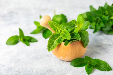 Ahşap zemin üzerinde havan ve kabuk ile taze nane. Melissa gider. Şifalı bitkiler, ilaç için havanda yeşil nane yaprakları. Mesaj için alan. Boşluğu kopyala.