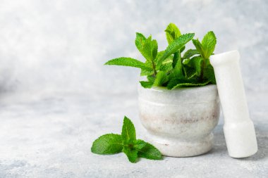 Ahşap zemin üzerinde havan ve kabuk ile taze nane. Melissa gider. Şifalı bitkiler, ilaç için havanda yeşil nane yaprakları. Mesaj için alan. Boşluğu kopyala.