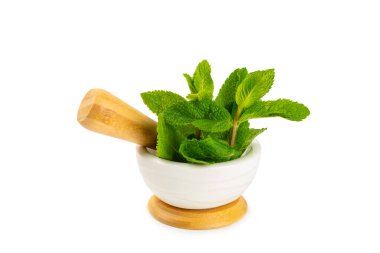 Beyaz arka planda izole edilmiş havan ve kabuklu taze nane. Melissa gider. Şifalı bitkiler, ilaç için havanda yeşil nane yaprakları. Mesaj için alan. Boşluğu kopyala.